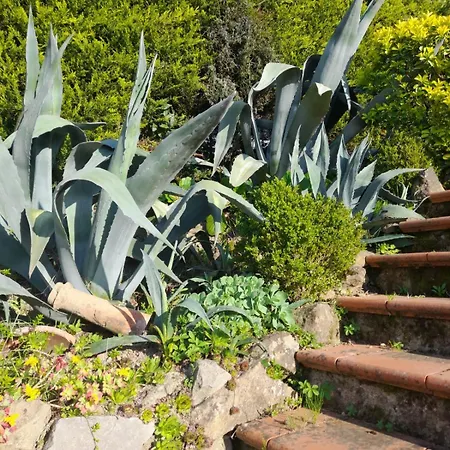 Dedo Affittacamere Reggello