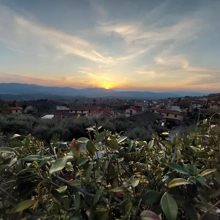 Dedo Affittacamere *