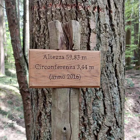 Casa de hóspedes Dedo *