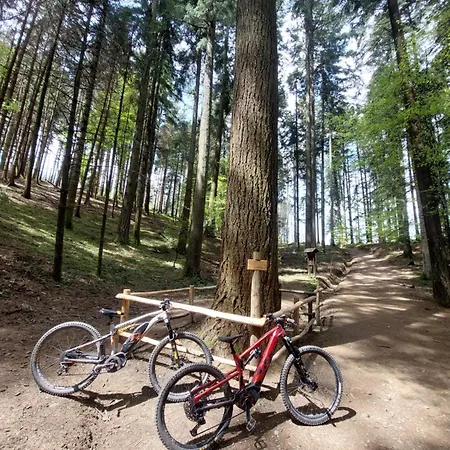 Casa de hóspedes Dedo Reggello